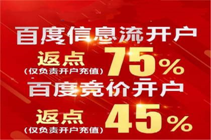 成功案例：百度推广代理助力电商突破